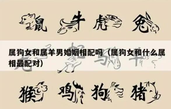 生肖属狗与哪个属相婚姻最配，生肖狗最佳配偶属相宜忌