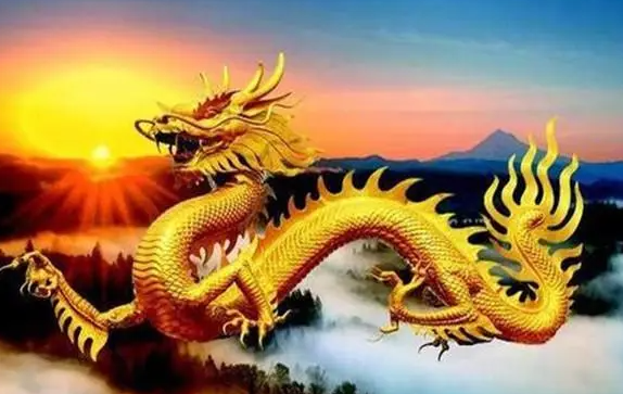 冷波出勤一起追是指代表什么生肖，打一最佳生肖解释落实释义成语